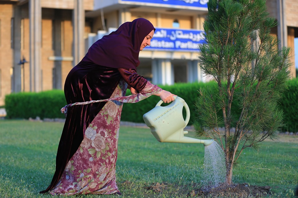 Watch the video of Speaker Faiq and hear her message on the campaign to 'plant a tree and make a city green'